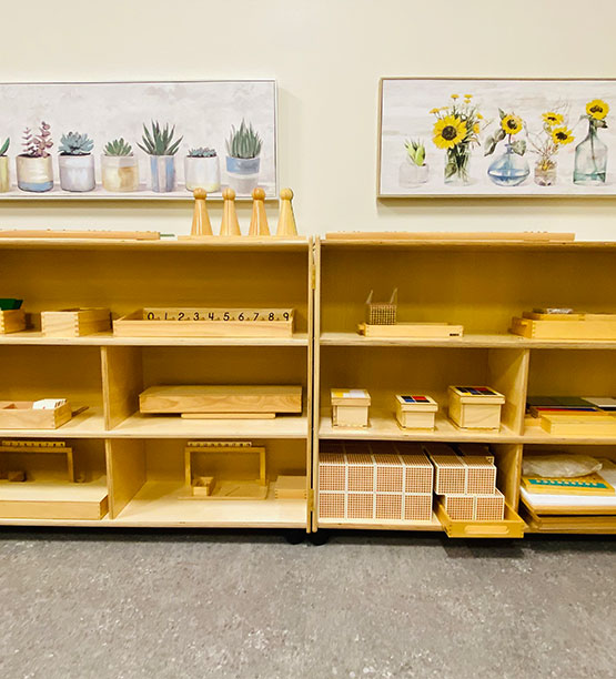 Athena Montessori Children's Program