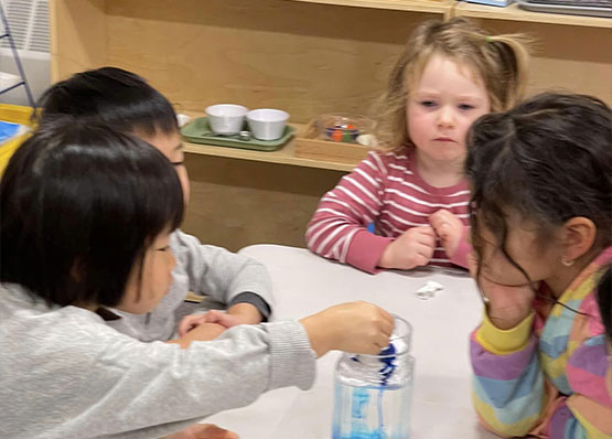 Athena Montessori Children's Program