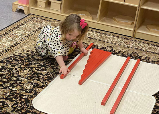 Athena Montessori Children's Program