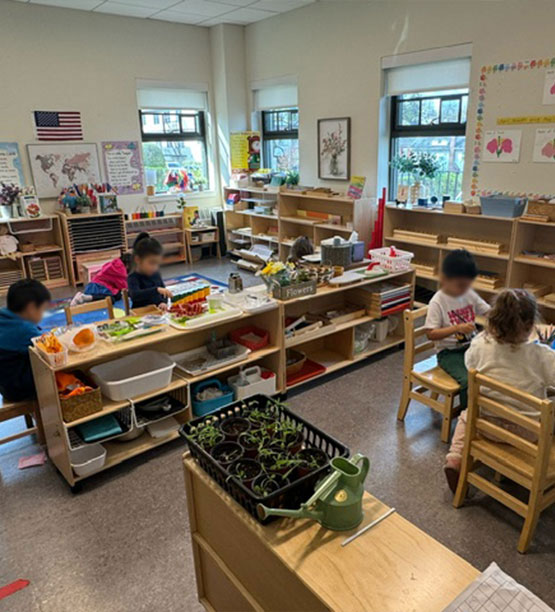 Athena Montessori Children's Program