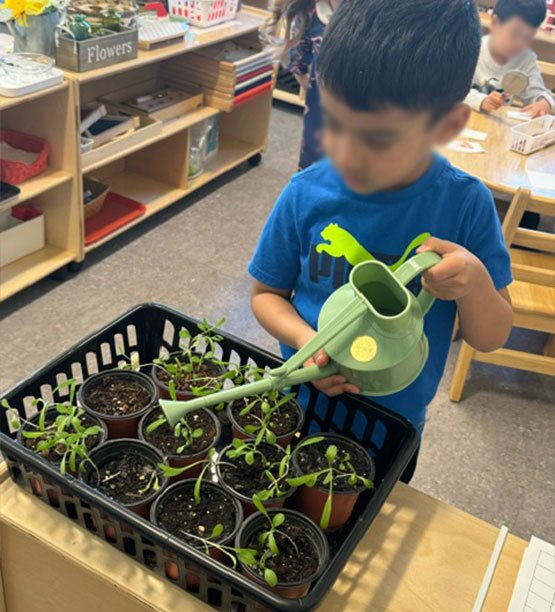 Athena Montessori Children's Program