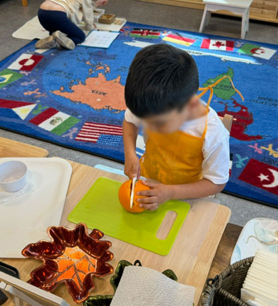 Athena Montessori Children's Program