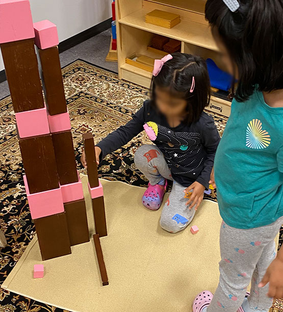 Athena Montessori Children's Program