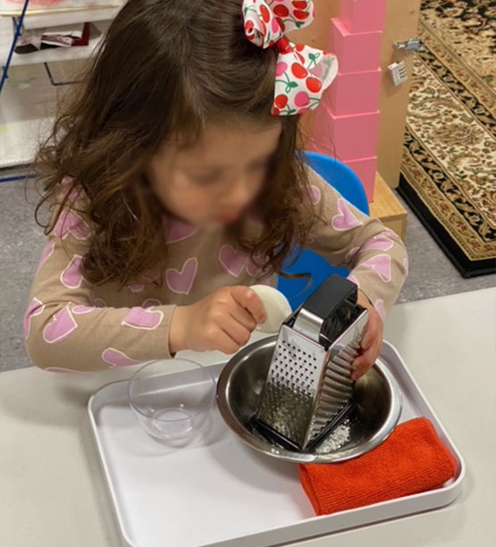 Athena Montessori Children's Program