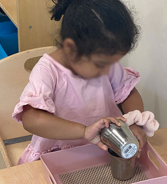 Athena Montessori Children's Program