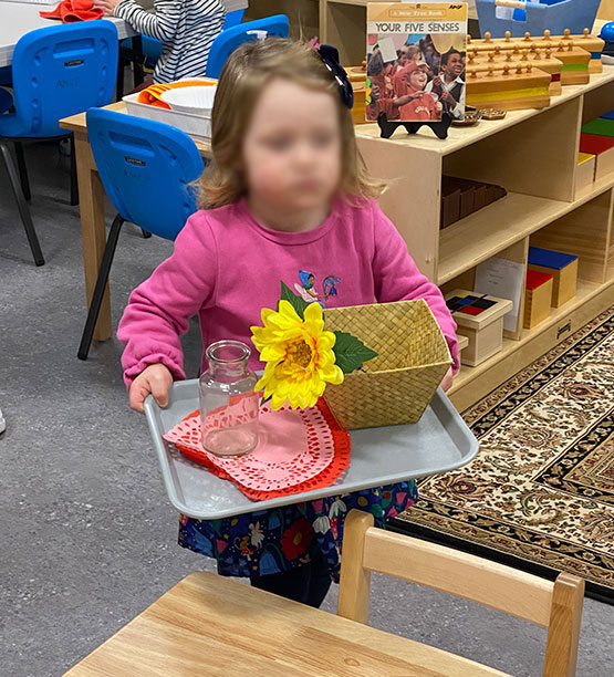 Athena Montessori Children's Program